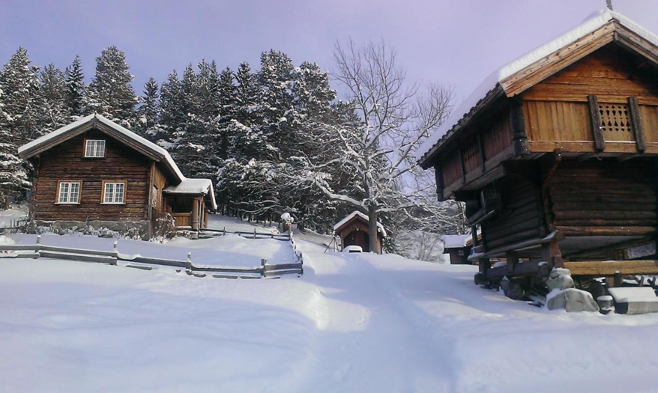 Gamlestugu Greivjord Fjellgard Villa Tuddal Exterior photo