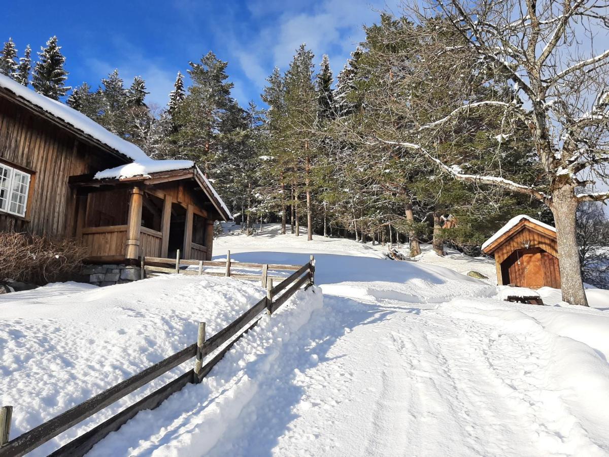 Gamlestugu Greivjord Fjellgard Villa Tuddal Exterior photo