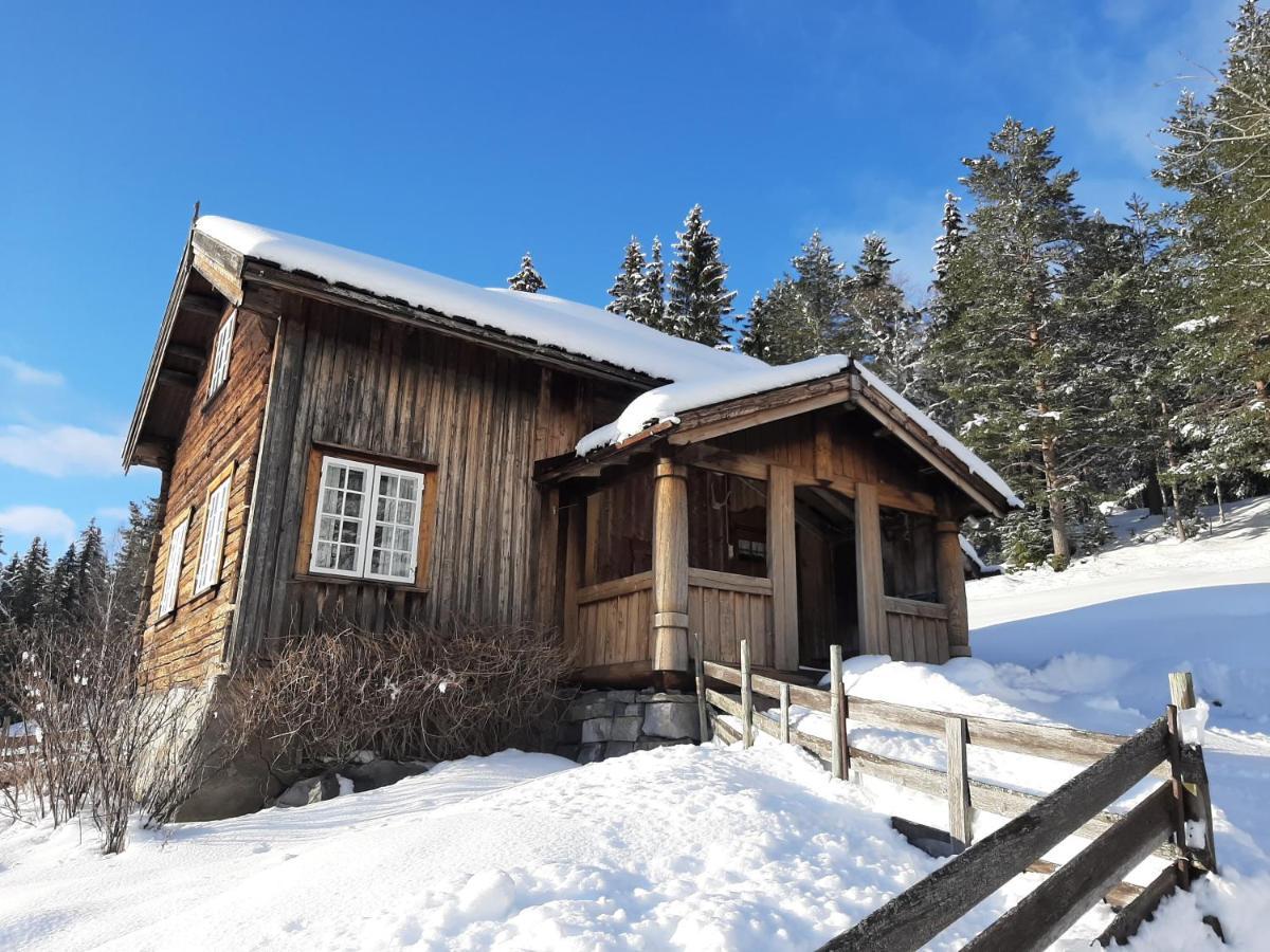 Gamlestugu Greivjord Fjellgard Villa Tuddal Exterior photo